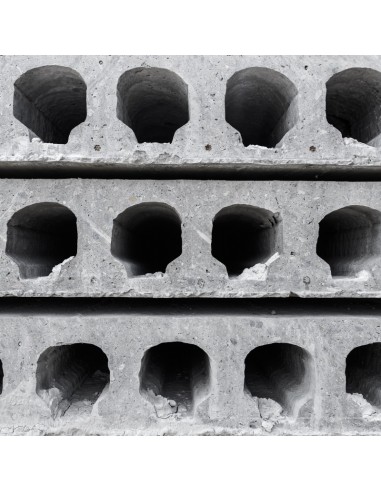 Alveolar plate 5