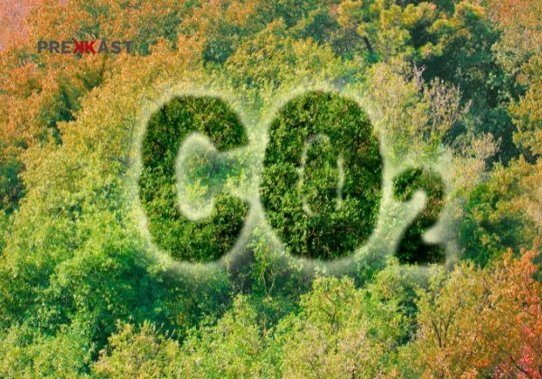 Los líderes del cemento documentan el progreso de la hoja de ruta hacia la neutralidad de carbono